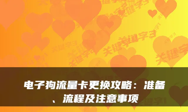 电子狗流量卡更换攻略：准备、流程及注意事项