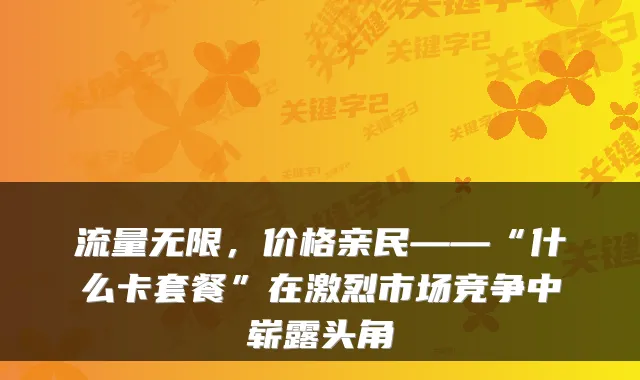 流量无限,价格亲民——“什么卡套餐”在激烈市场竞争中崭露头角