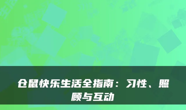 仓鼠快乐生活全指南：习性、照顾与互动