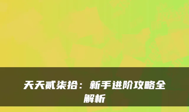 天天贰柒拾：新手进阶攻略全解析