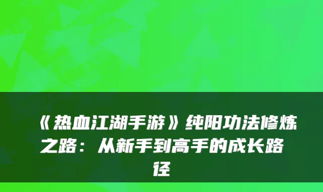 《热血江湖手游》纯阳功法修炼之路：从新手到高手的成长路径
