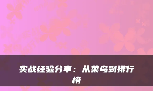 实战经验分享：从菜鸟到排行榜