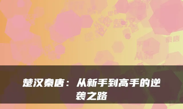 楚汉秦唐：从新手到高手的逆袭之路