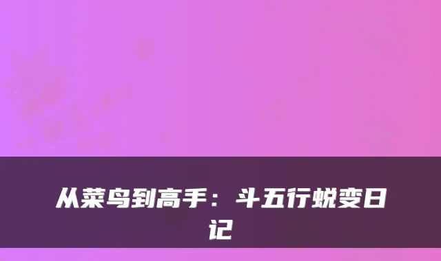 从菜鸟到高手：斗五行蜕变日记