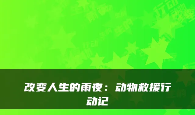 改变人生的雨夜：动物救援行动记