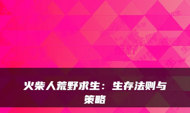 火柴人荒野求生：生存法则与策略