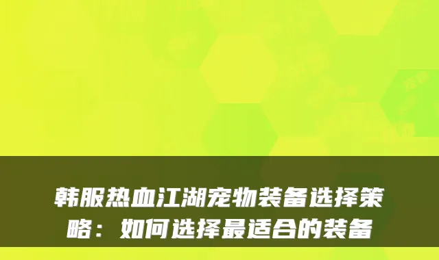 韩服热血江湖宠物装备选择策略:如何选择适合的装备