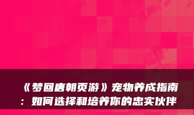 《梦回唐朝页游》宠物养成指南：如何选择和培养你的忠实伙伴