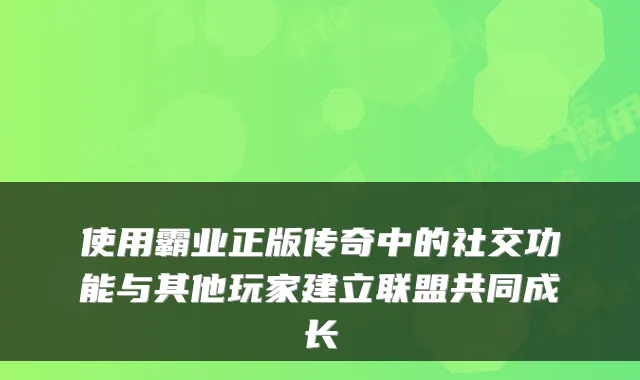 使用霸业正版传奇中的社交功能与其他玩家建立联盟共同成长