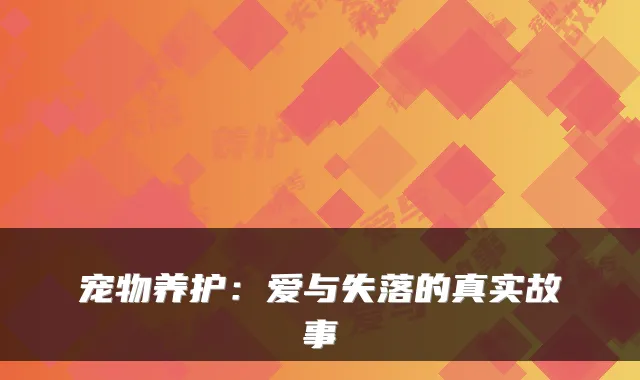 宠物养护：爱与失落的真实故事