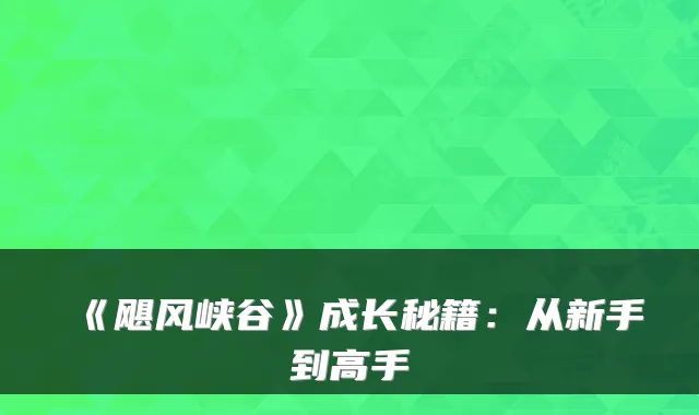 《飓风峡谷》成长秘籍:从新手到高手