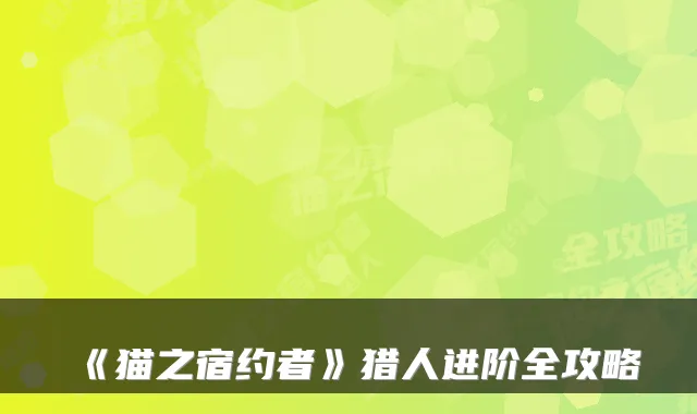 《猫之宿约者》猎人进阶全攻略