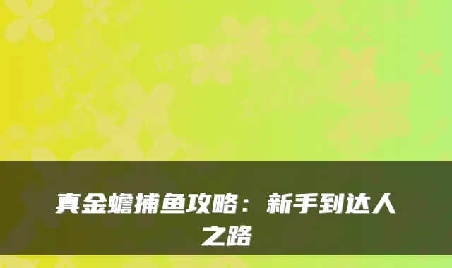 真金蟾捕鱼攻略：新手到达人之路
