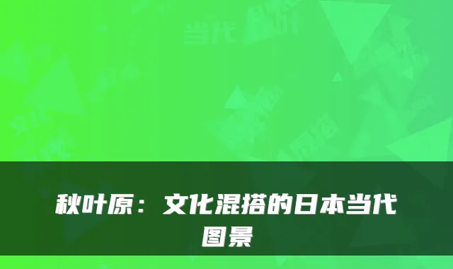 秋叶原:文化混搭的日本当代图景