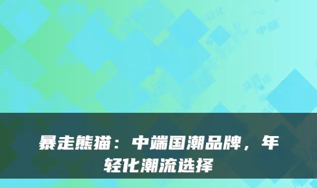 暴走熊猫：中端国潮品牌，年轻化潮流选择