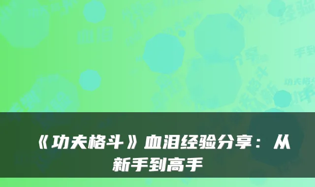 《功夫格斗》血泪经验分享：从新手到高手