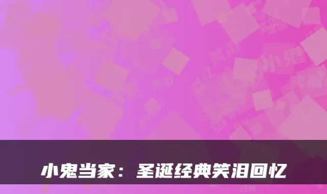 小鬼当家：圣诞经典笑泪回忆