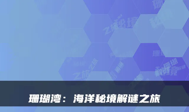 珊瑚湾：海洋秘境解谜之旅