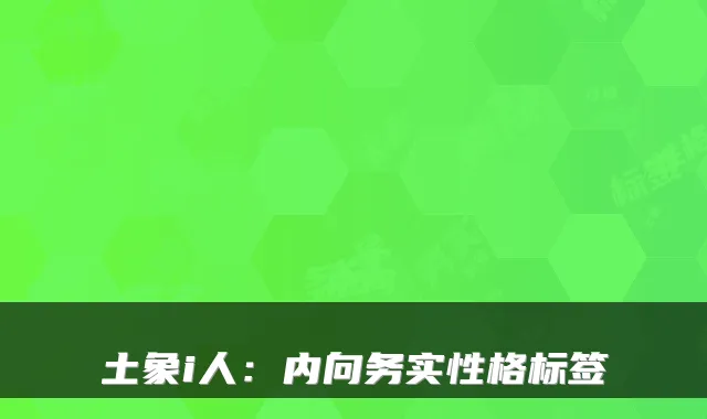 土象i人：内向务实性格标签