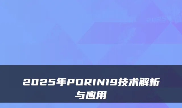 2025年PORIN19技术解析与应用