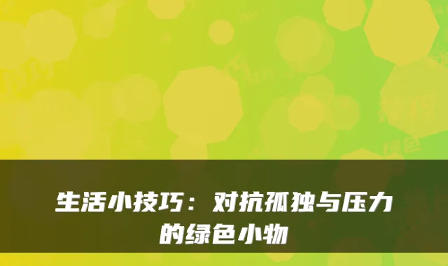 生活小技巧：对抗孤独与压力的绿色小物