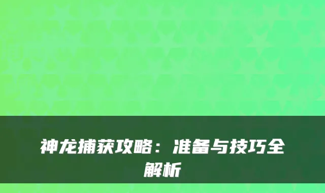 神龙捕获攻略：准备与技巧全解析