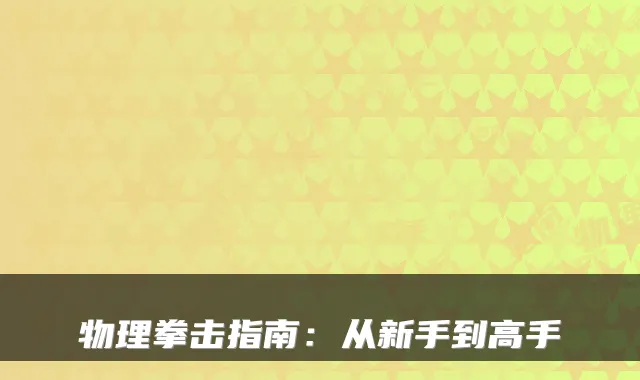 物理拳击指南：从新手到高手