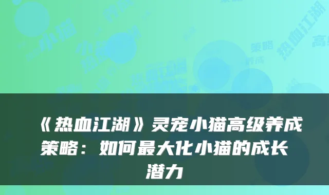 《热血江湖》灵宠小猫高级养成策略：如何大化小猫的成长潜力