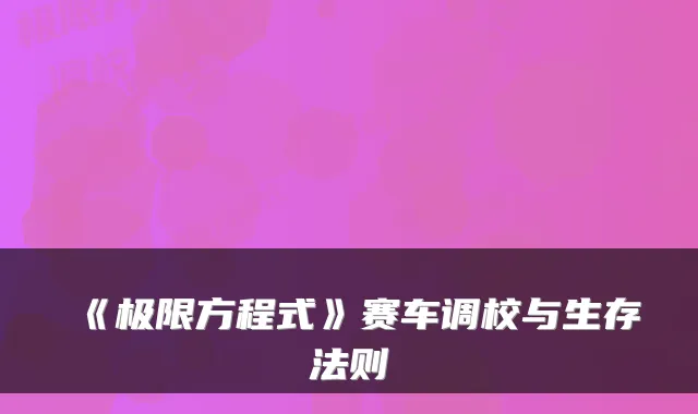 《极限方程式》赛车调校与生存法则