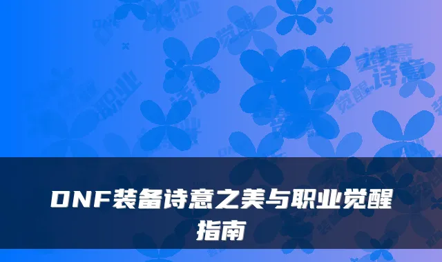 DNF装备诗意之美与职业觉醒指南