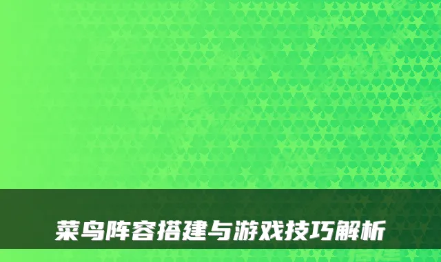 菜鸟阵容搭建与游戏技巧解析