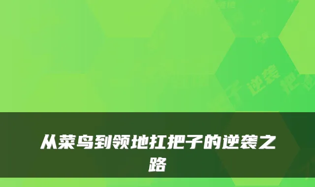 从菜鸟到领地扛把子的逆袭之路