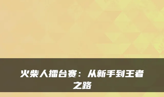 火柴人擂台赛：从新手到王者之路