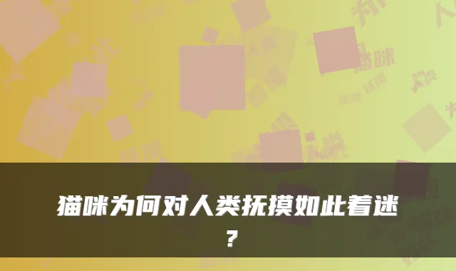 猫咪为何对人类抚摸如此着迷？