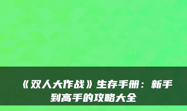 《双人大作战》生存手册：新手到高手的攻略大全