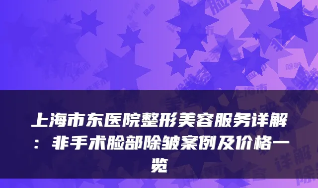 上海市东医院整形美容服务详解：非手术脸部除皱案例及价格一览
