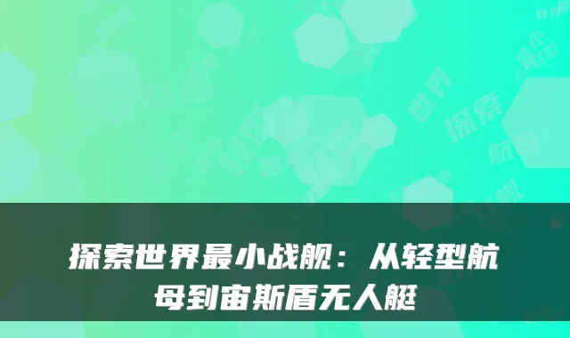 探索世界最小战舰：从轻型航母到宙斯盾无人艇