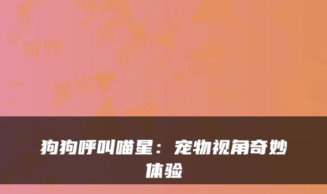 狗狗呼叫喵星：宠物视角奇妙体验