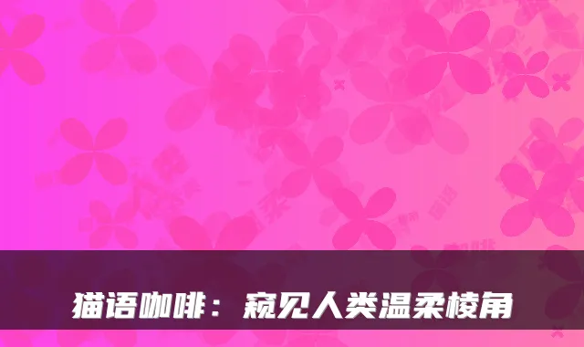 猫语咖啡：窥见人类温柔棱角