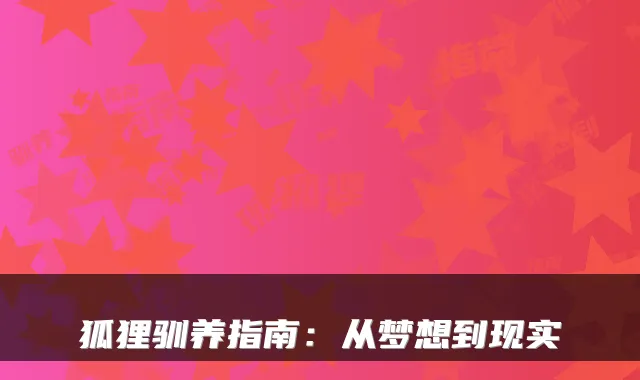 狐狸驯养指南:从梦想到现实