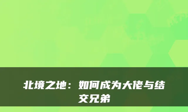 北境之地：如何成为大佬与结交兄弟