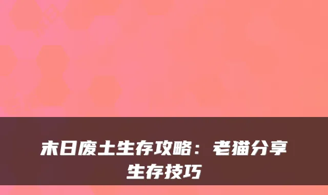 末日废土生存攻略:老猫分享生存技巧
