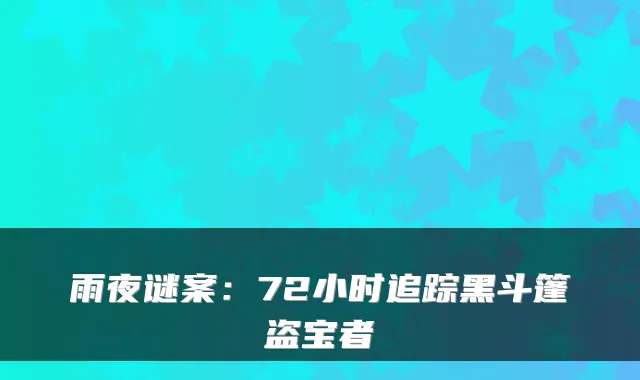 雨夜谜案:72小时追踪黑斗篷盗宝者