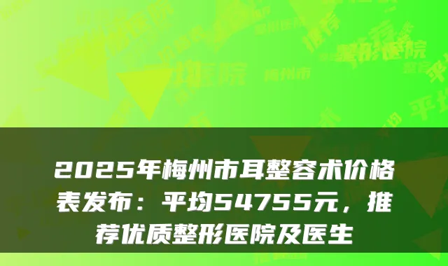2025年梅州市耳整容术价格表发布：平均54755元，推荐优质整形医院及医生