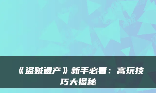 《盗贼遗产》新手必看：高玩技巧大揭秘