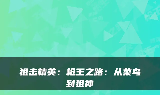 狙击精英：枪王之路：从菜鸟到狙神