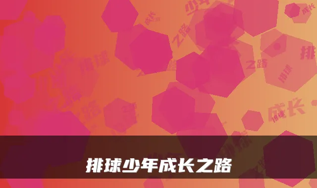 排球少年成长之路