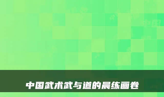 中国武术武与道的晨练画卷