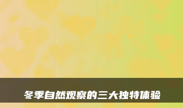 冬季自然观察的三大独特体验