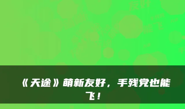 《天途》萌新友好，手残党也能飞！